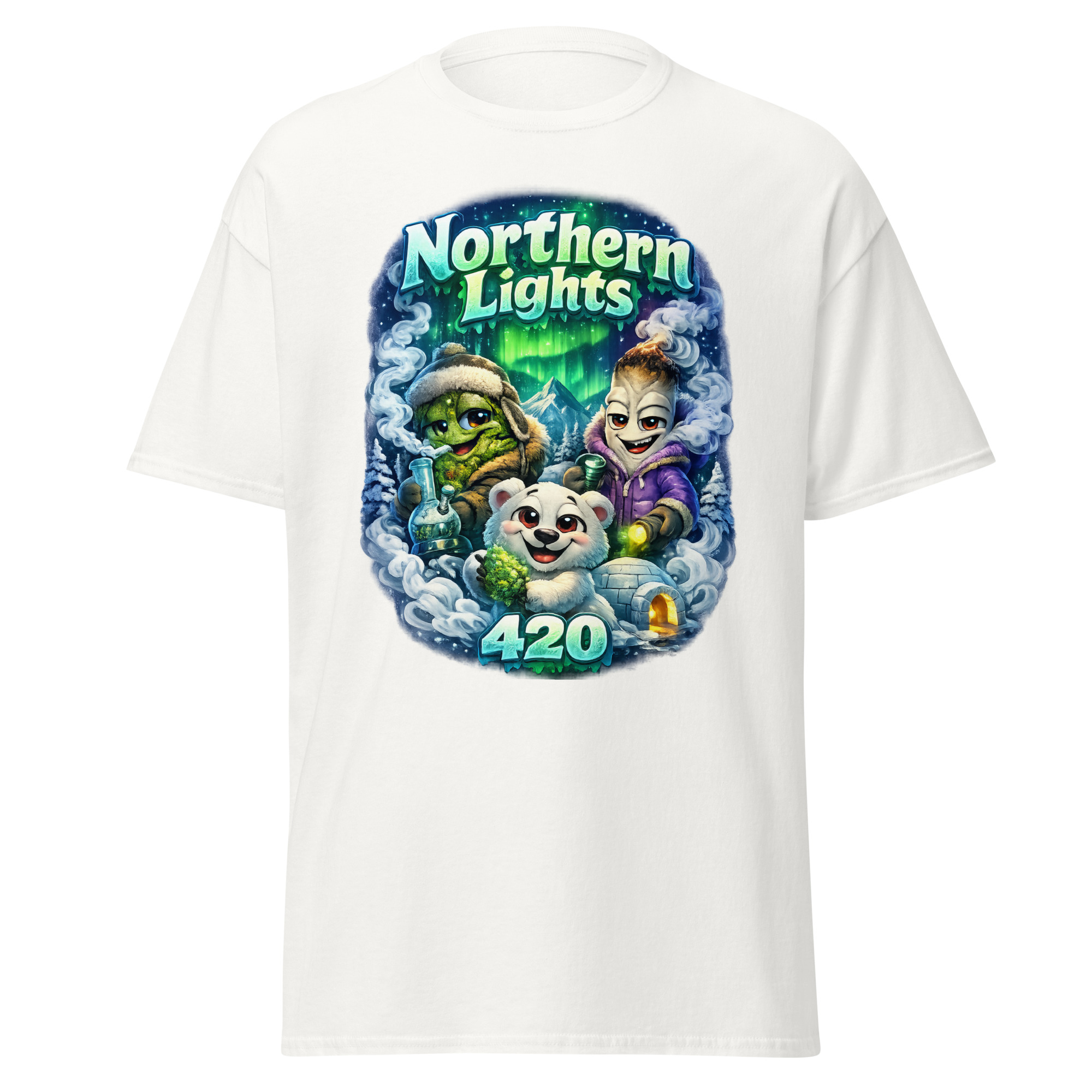 Northern Lights - Image 9