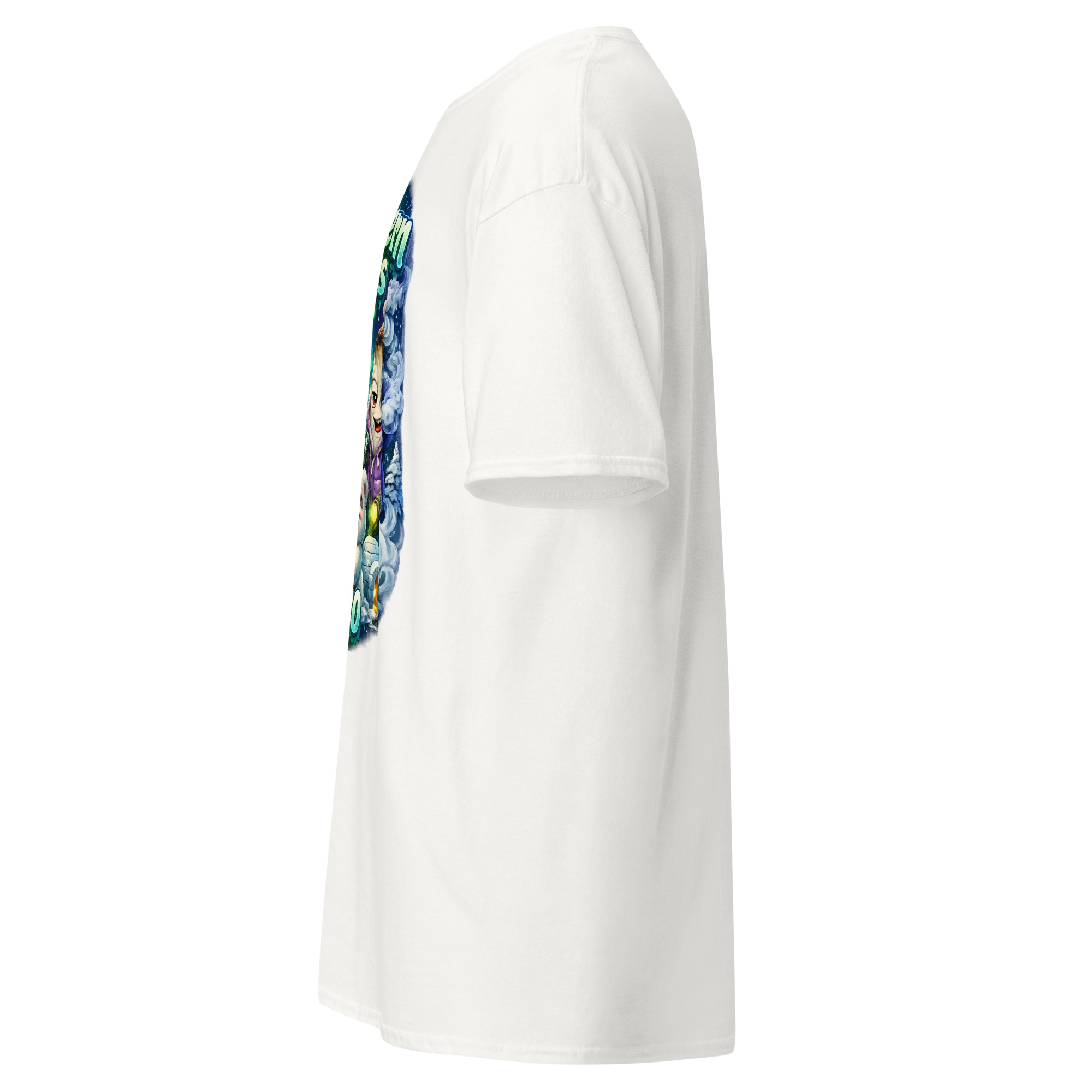 Northern Lights - Image 11