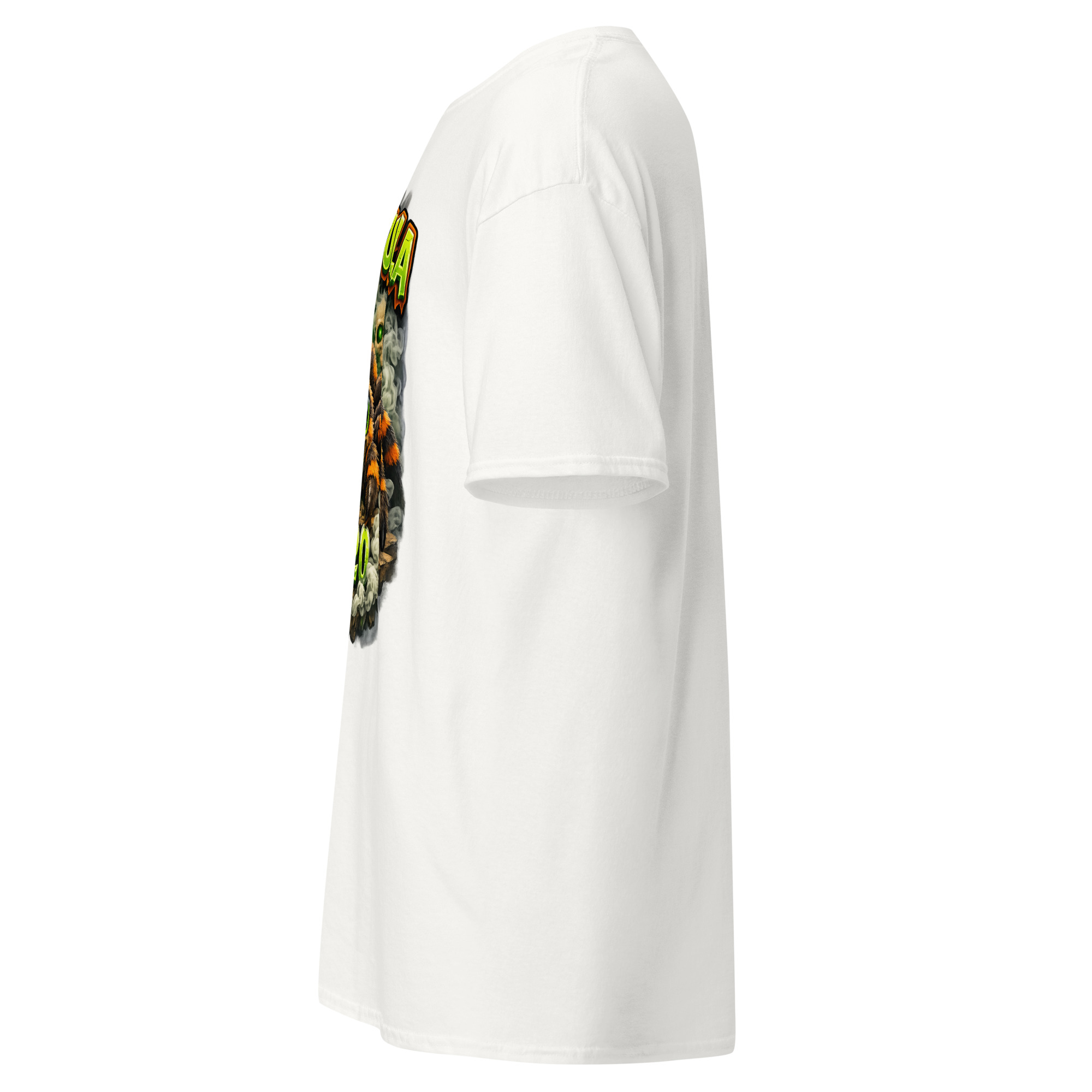 Tarantula - Image 11