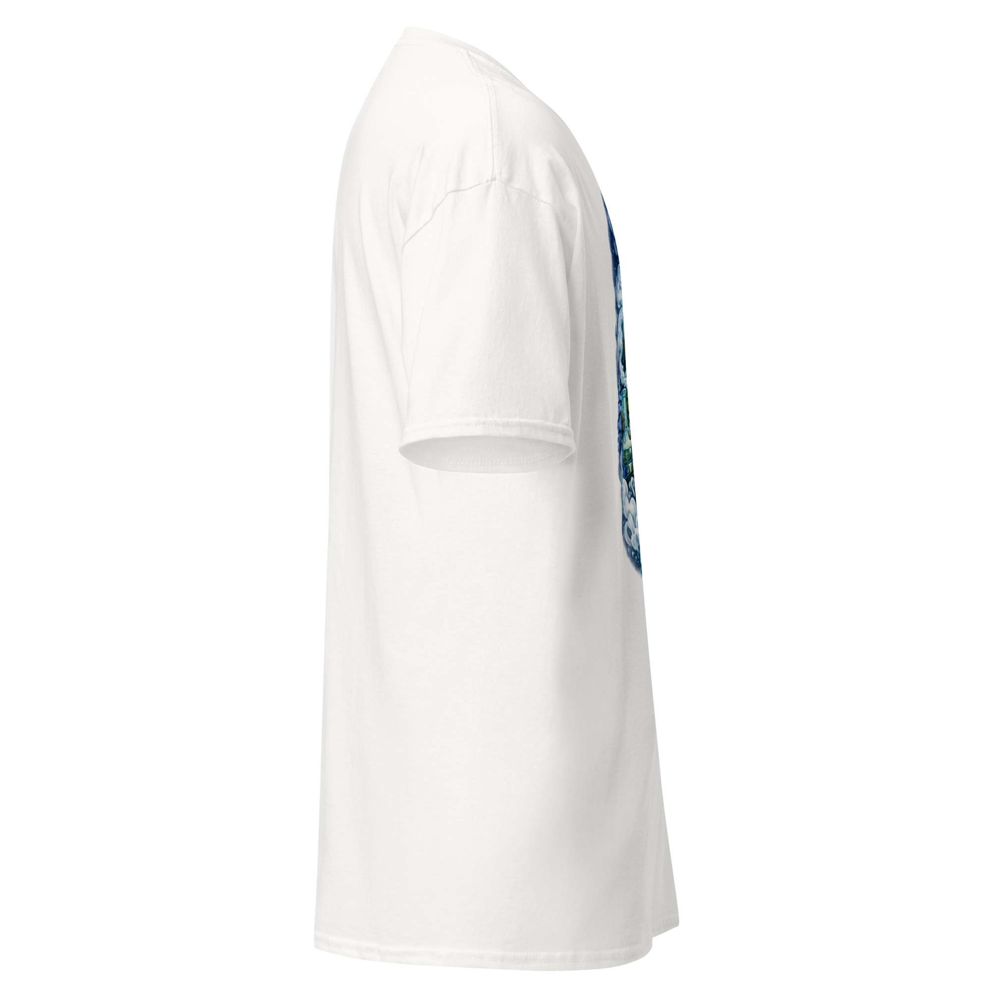 Northern Lights - Image 12