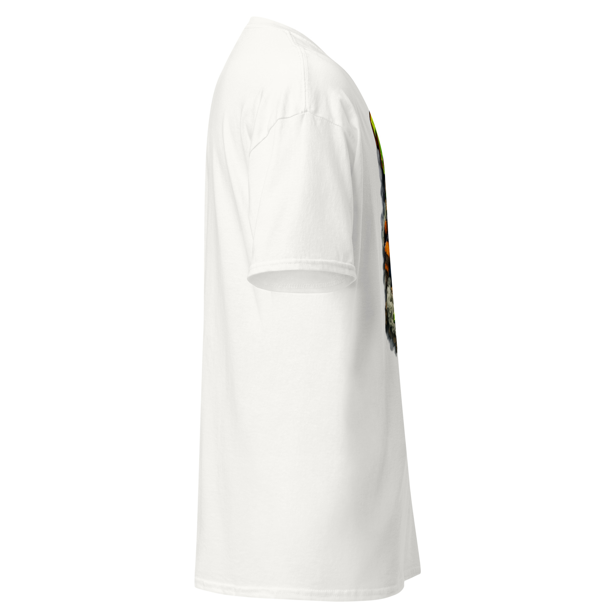 Tarantula - Image 12