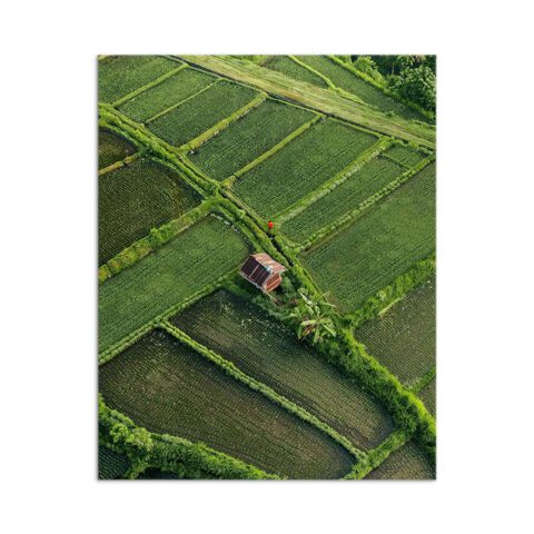 Jatiluwih Rice Terraces, Bali