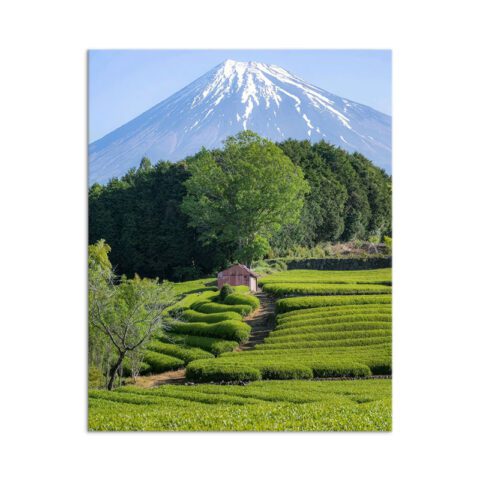 Mount Fuji, Japan